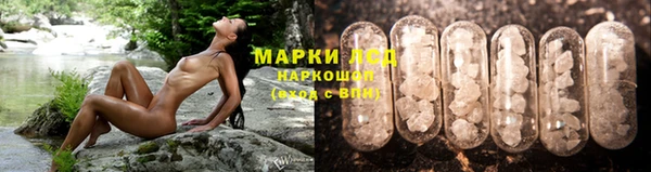 трава Гусь-Хрустальный
