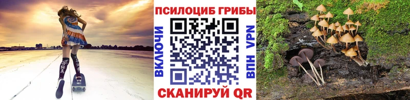 Купить закладки  Острогожск  Галлюциногенные грибы Cubensis 