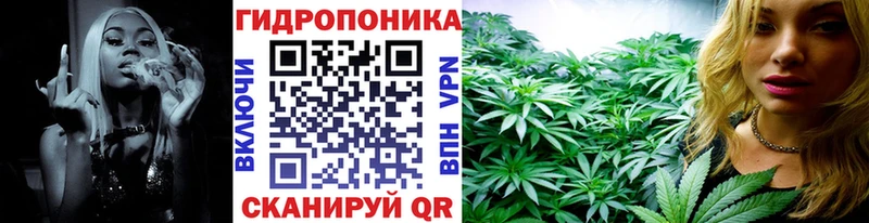 Купить где  Острогожск  Канабис Amnesia 